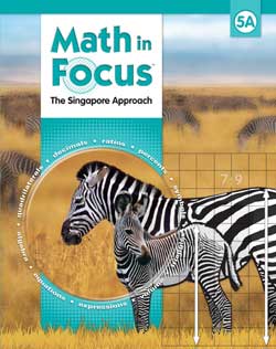 math in focus grade 4 answer key pdf
